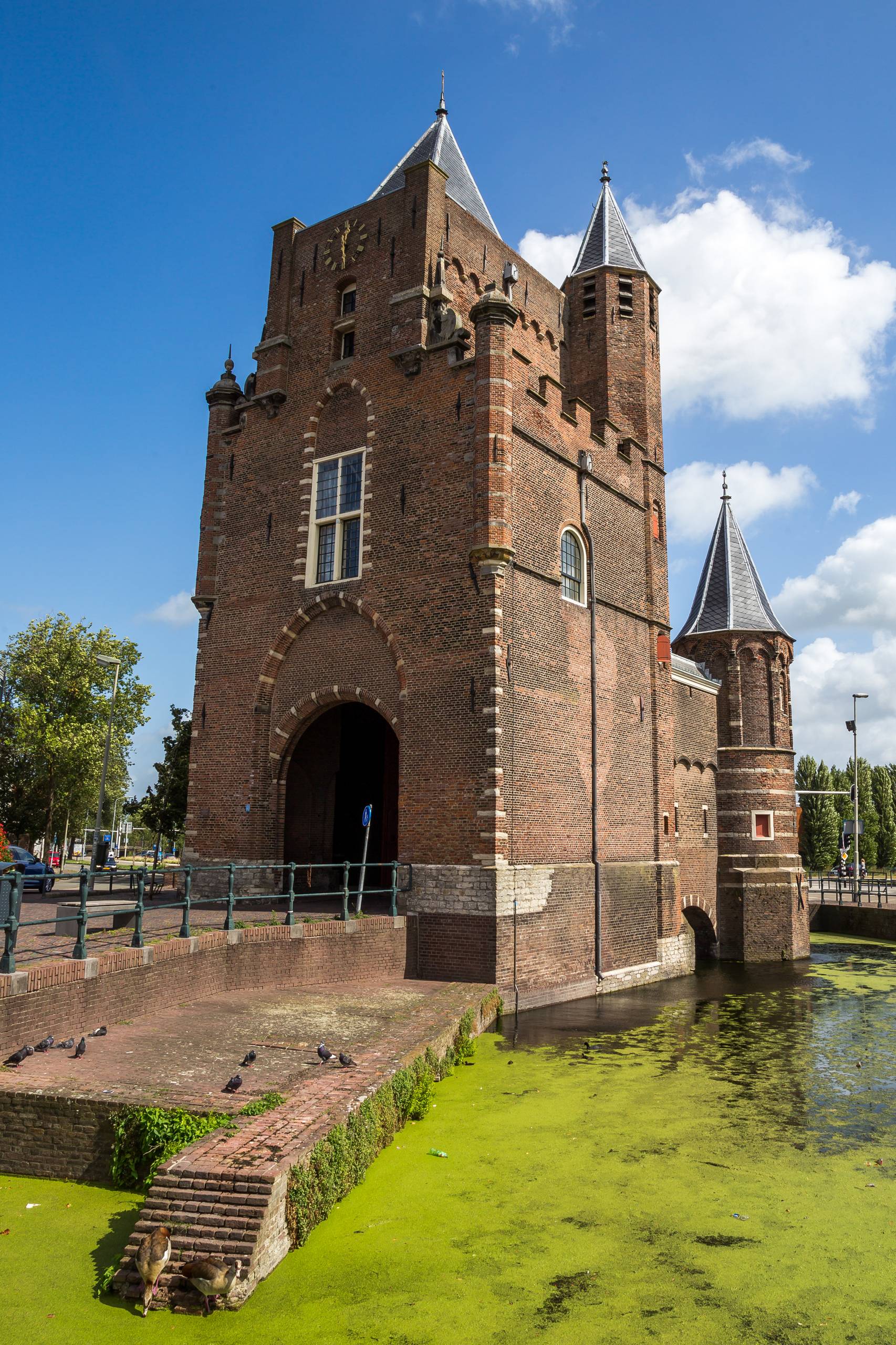 2019 Niederlande 237